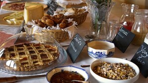 A breakfast buffet with various dishes and labels. - Domus Cariana (San Pietro in Cariano)