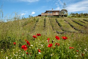 Aerial view - B.O. Spa Suite (Rome)