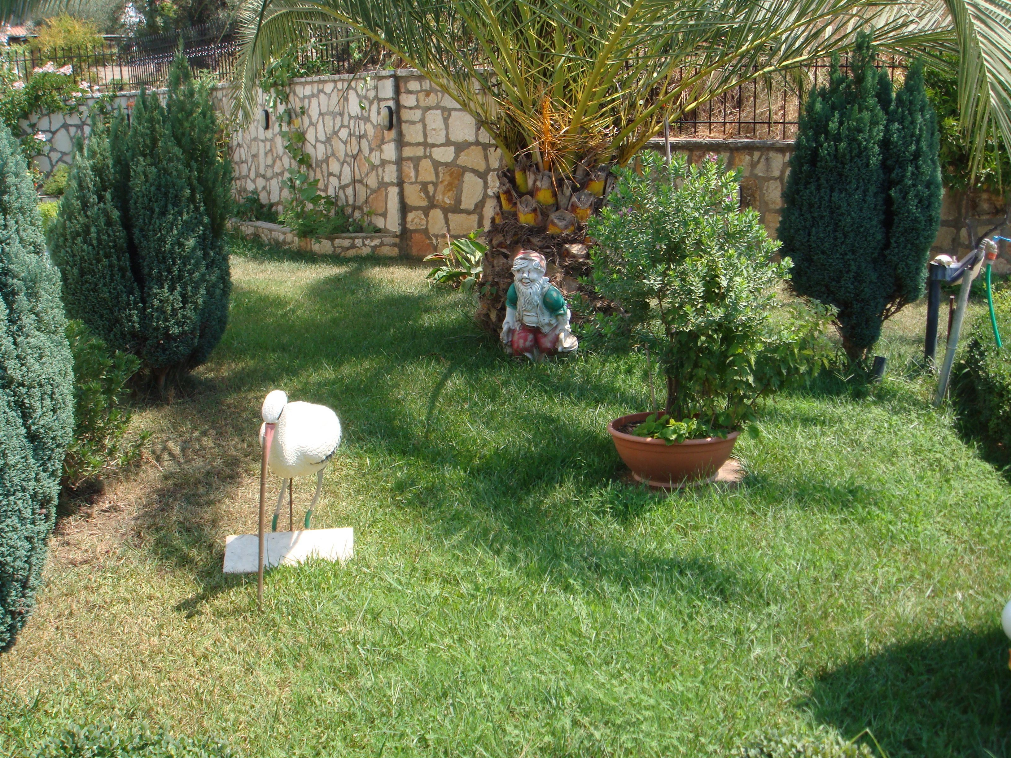 A garden with a stone wall, various plants, and a statue.