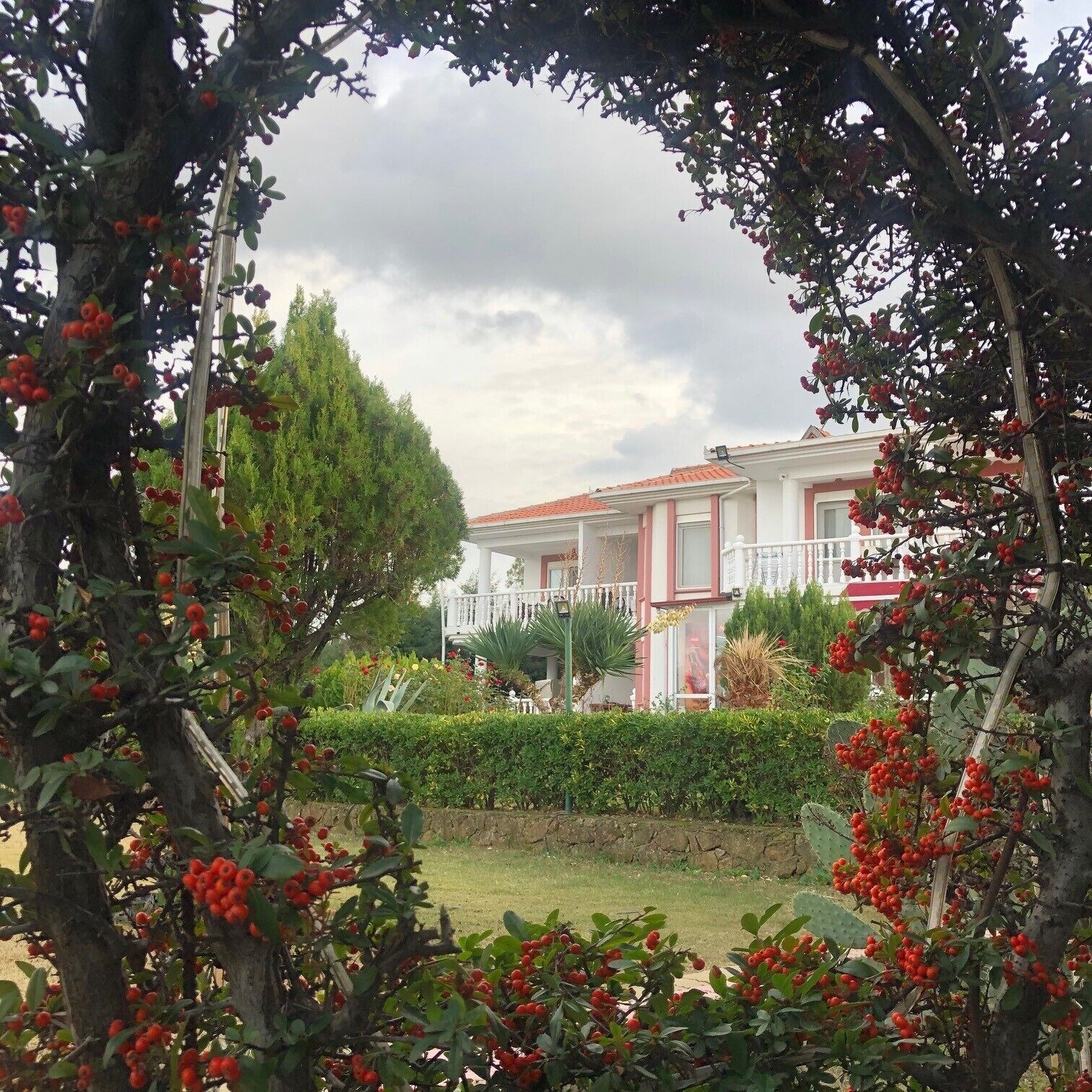 واجهة المنشأة