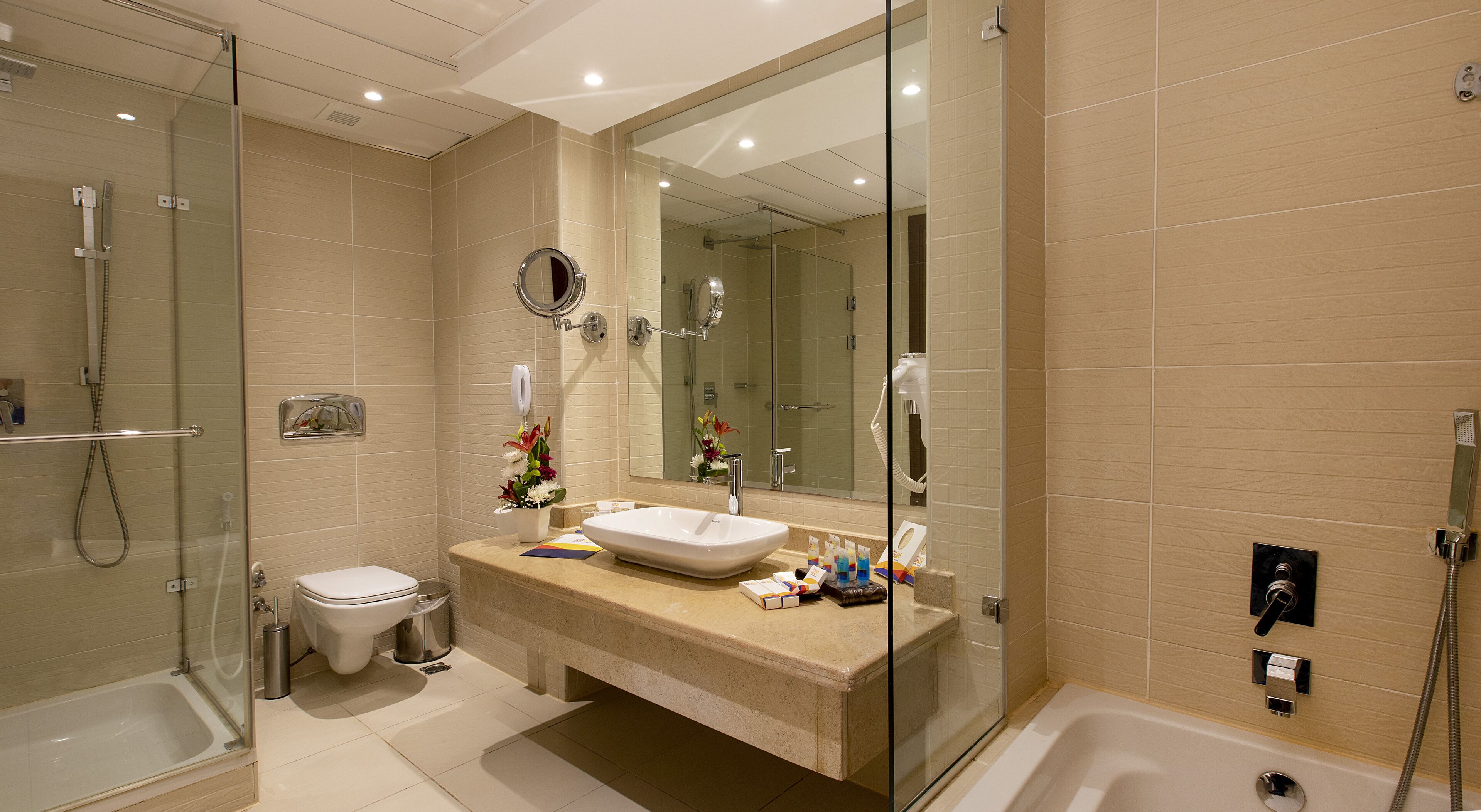 combined shower/bathtub, free toiletries, hair dryer, towels