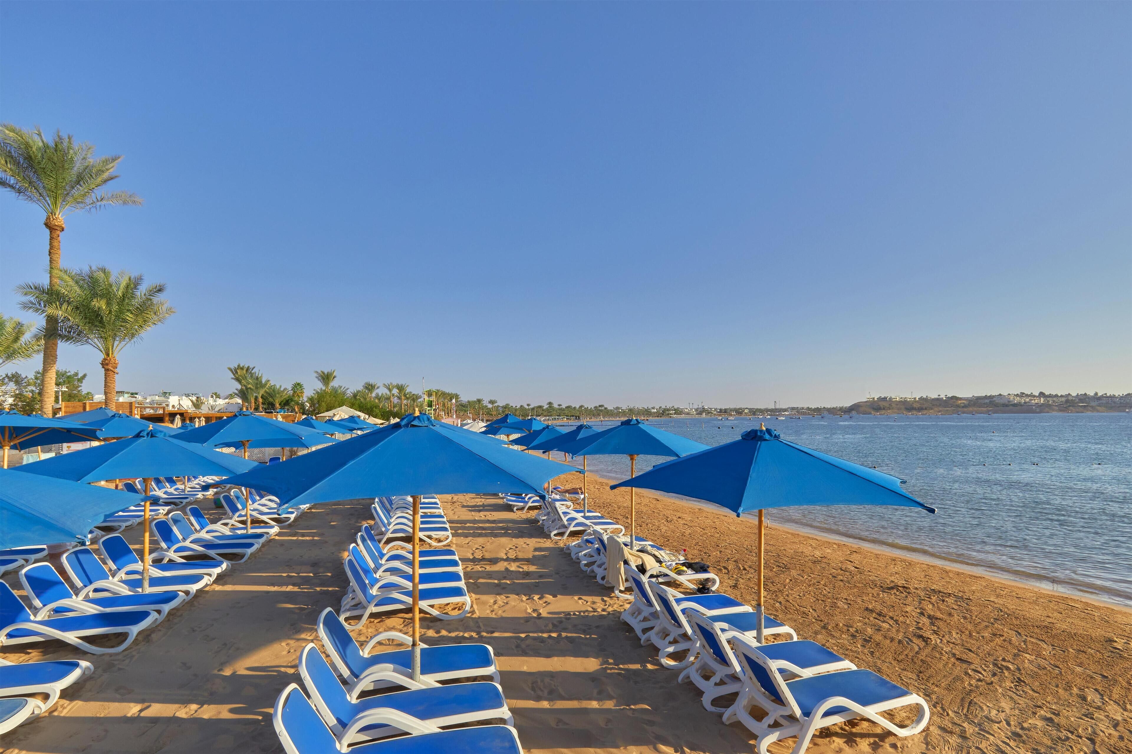 Photo - Fun & Sun Naama Waves