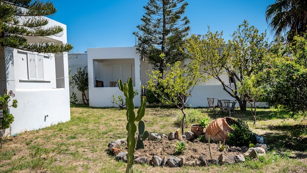 A white building with a cactus garden and a large tree. - Fotini Studios (Kos)