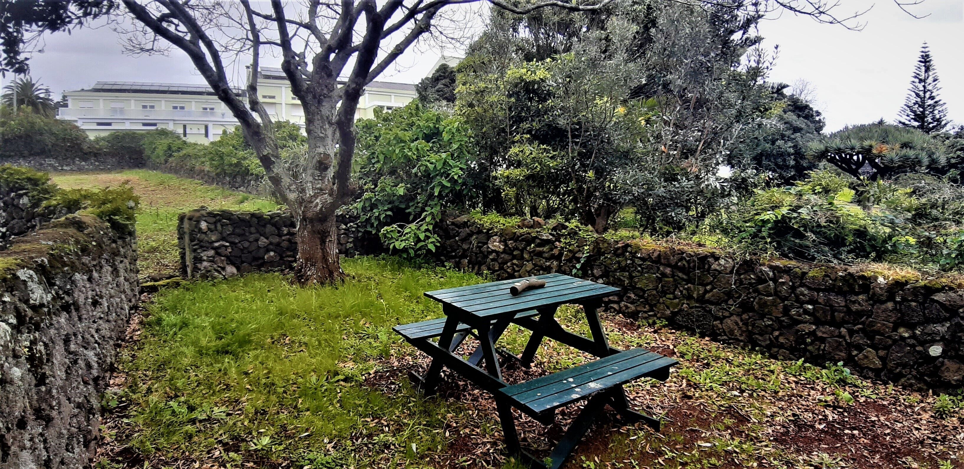 Photo - Quinta do Bom Despacho