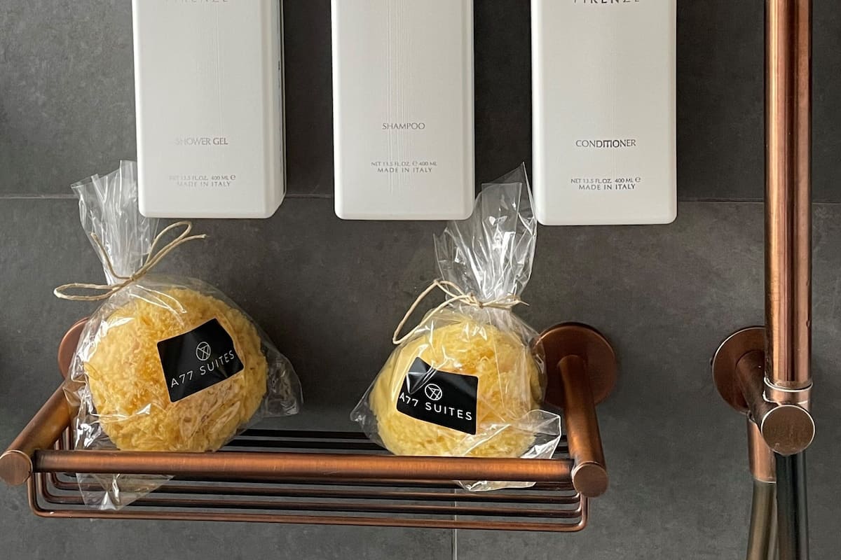 shower, rainfall showerhead, free toiletries, hair dryer