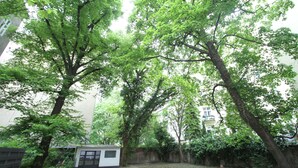 Jardín