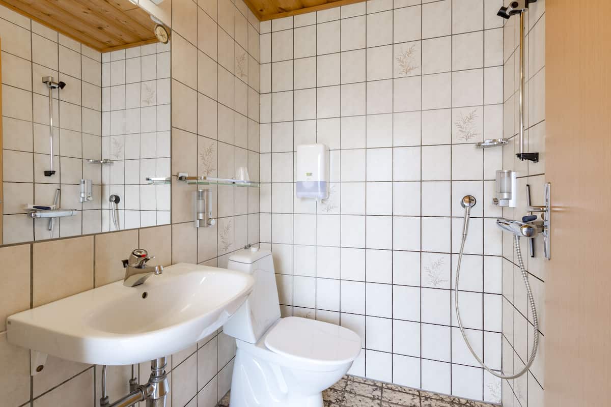 standard twin room | 1 bedroom, desk, free wifi, bed sheets