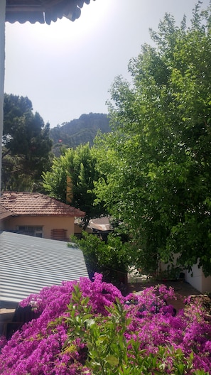 Chambre Standard, 1 lit double, vue ville | Vue depuis le balcon