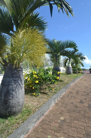 Property entrance - Villa Victoria (Trou d'Eau Douce)