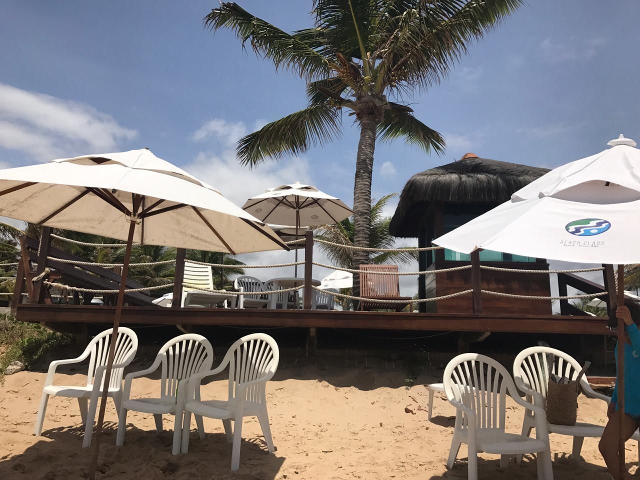 A beachside area with white plastic chairs and umbrellas, a wooden deck, and a palm tree.