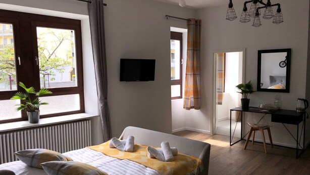 A hotel room with a bed, a desk, a chair, a potted plant, a television, and a window with curtains. - Boutique-Hotel 'Altes Rathaus' (Lahnstein)