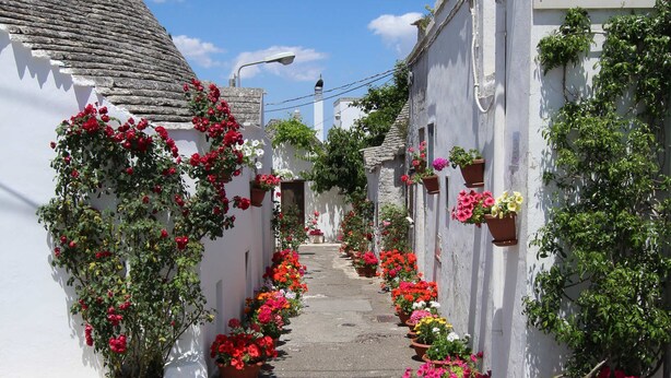 A narrow street lined with white buildings, each adorned with potted plants and flowers. - Suite del Vico NEW OPENING! (Alberobello)