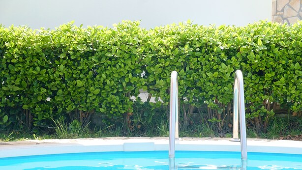Una piscina con escaleras metálicas, rodeada por un seto.