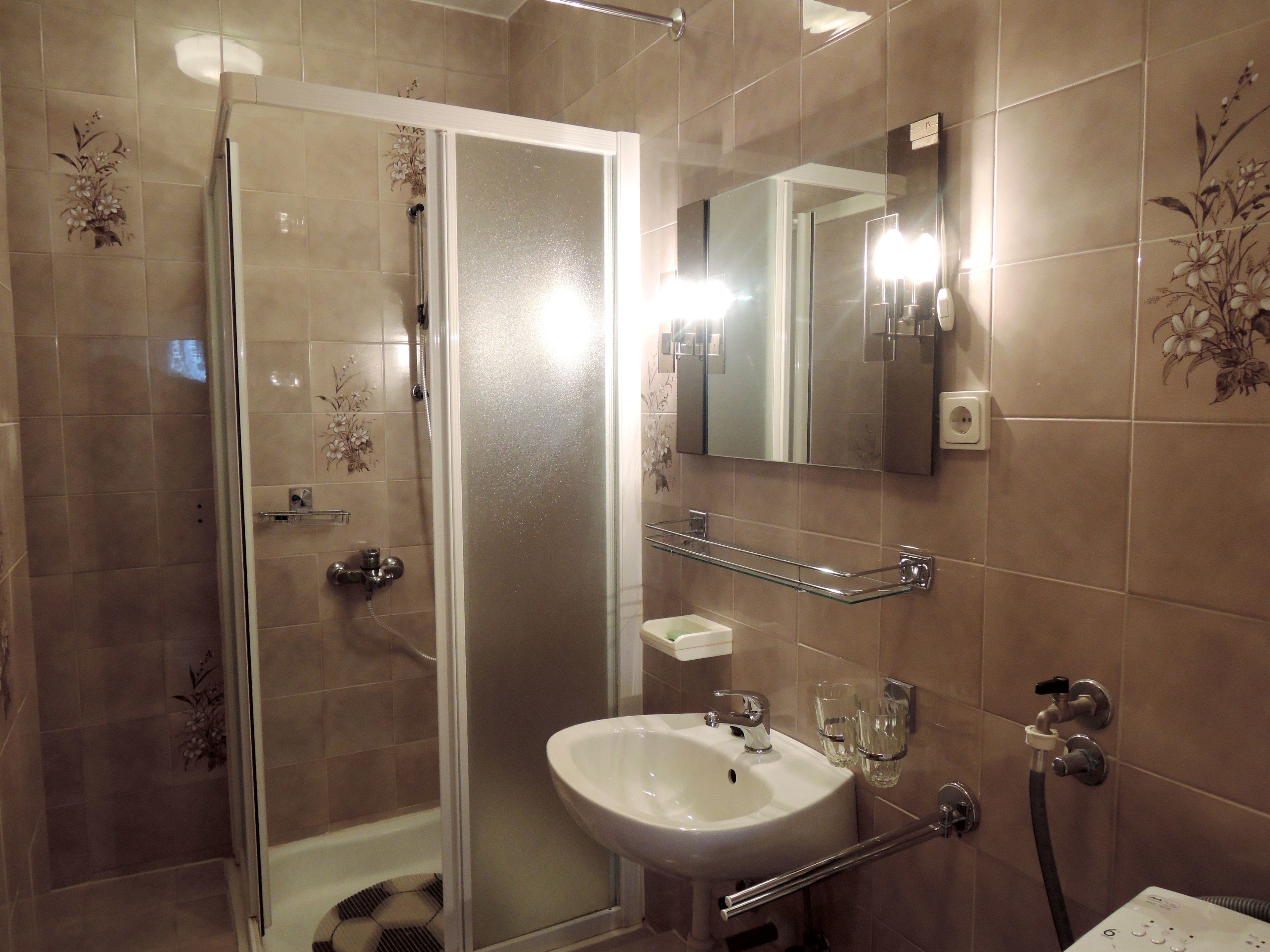 Basic Apartment | Bathroom | Shower, towels, soap, toilet paper