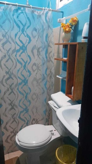 Standard Double Room, Garden View | Bilik Mandi | Pancuran mandi, kelengkapan dandanan diri percuma, tuala disediakan 