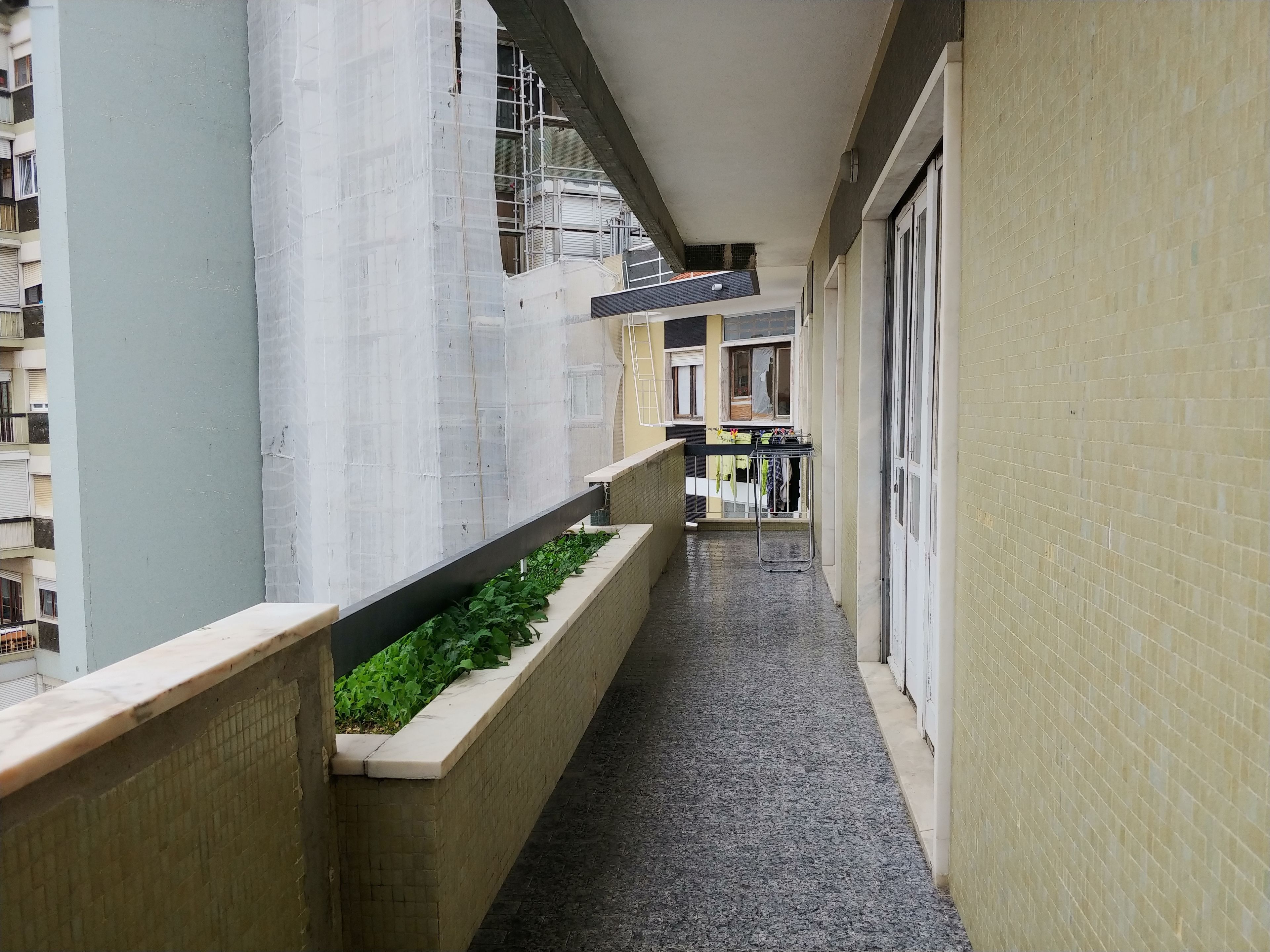 A narrow corridor with a tiled floor, a planter with green plants, and a metal rack.