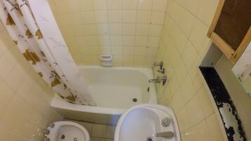 Combined shower/bathtub, deep-soaking bathtub, rainfall showerhead