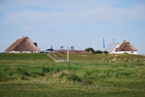 A rural landscape with thatched-roof houses, a fenced area, and a grassy field. - Hotel - Pension ALTES PASTORAT (Langenhorn)