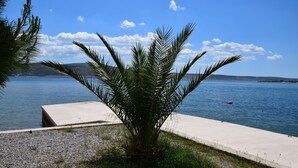 A concrete dock extending into a calm body of water, with a palm tree in the foreground and a clear blue sky in the background. - Apartments and rooms Marko (Starigrad)