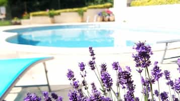 Una piscina con vistas a matorrales de lavanda en primer plano.