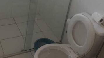 Casa de banho com chuveiro com divisória de vidro, sanita e um contentor de lixo azul.