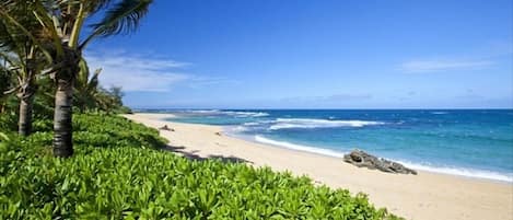 On the beach, sun-loungers, beach towels
