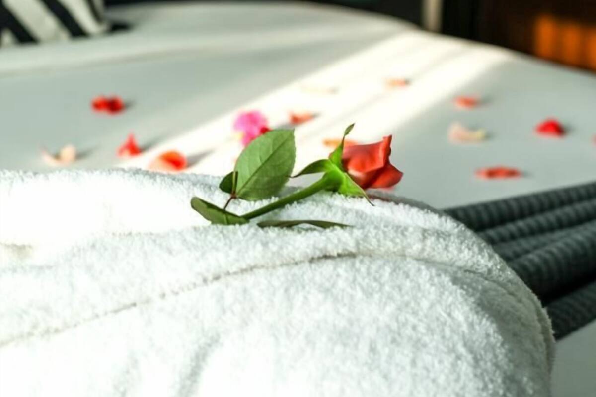 A bed with a white blanket, a single rose, and scattered rose petals.