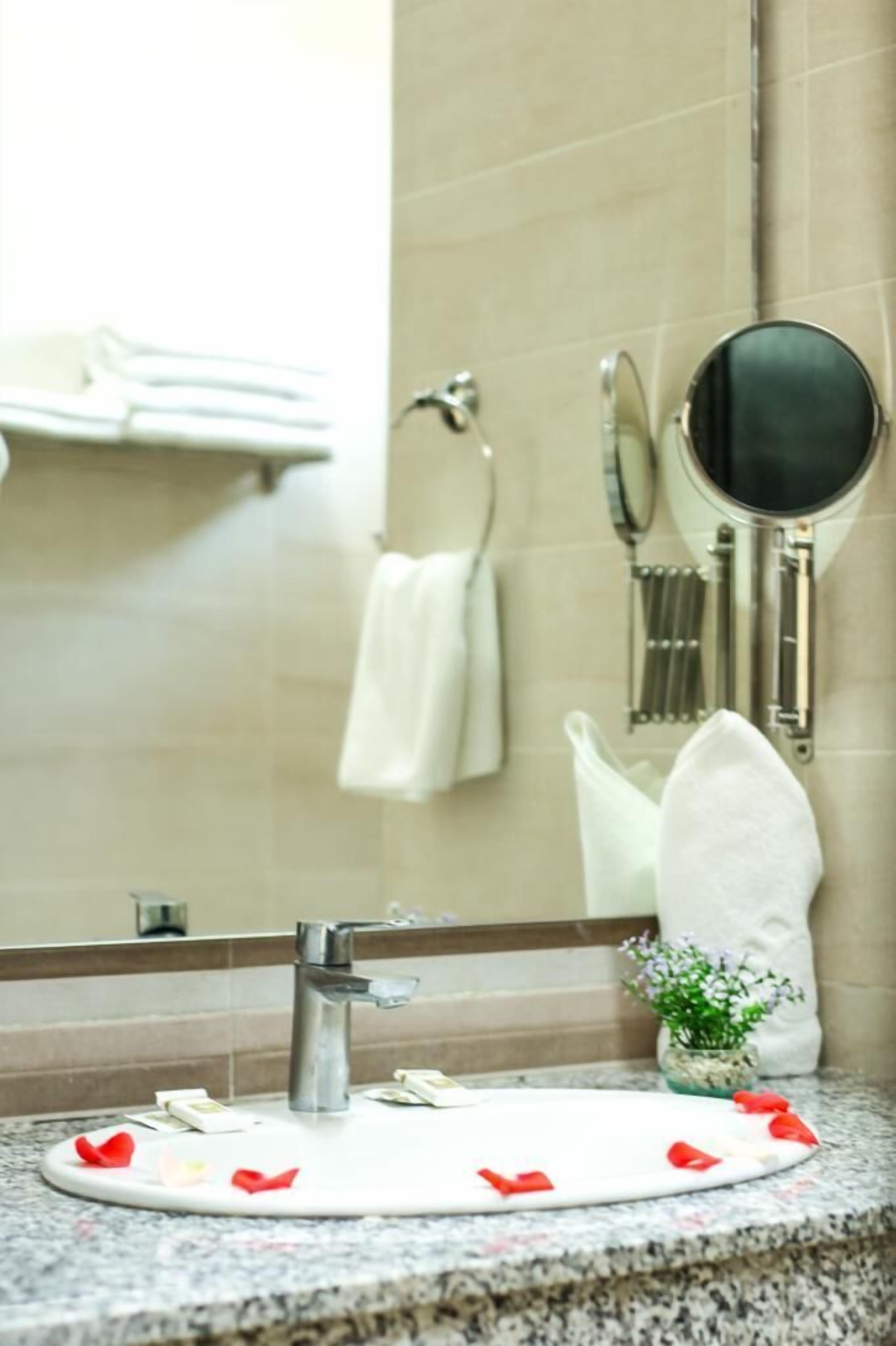Une salle de bain avec un lavabo, un miroir, un porte-serviettes et une petite plante.