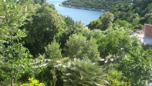 Un paisaje exuberante y verde con vegetación densa y una vista de una masa de agua a lo lejos.