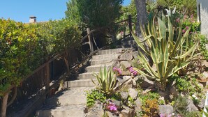 A stone staircase with a wooden handrail, surrounded by various plants and flowers. - House on the beach with sea view (Tossa de Mar)