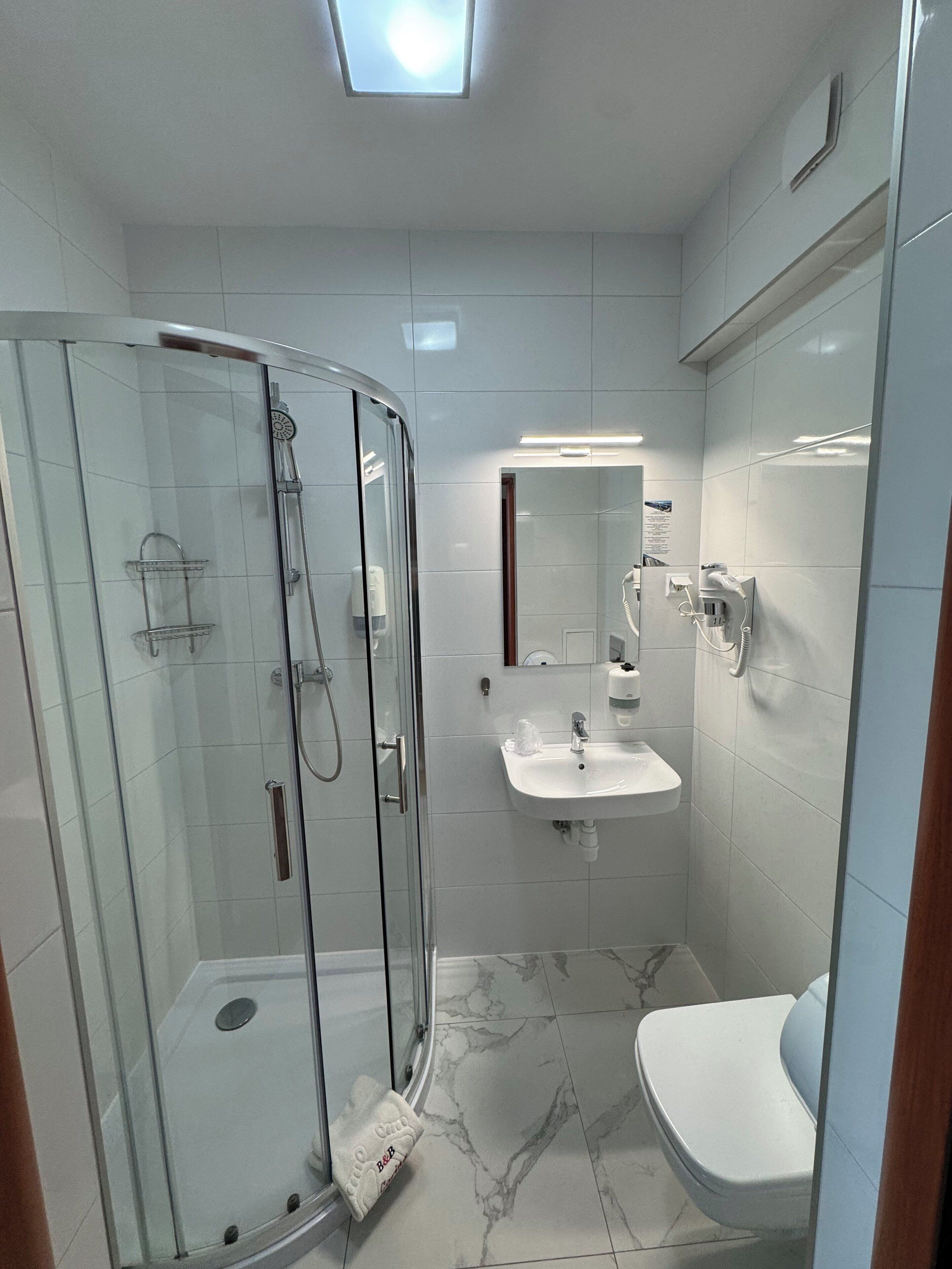 A modern bathroom with a glass-enclosed shower, a sink, and a toilet.