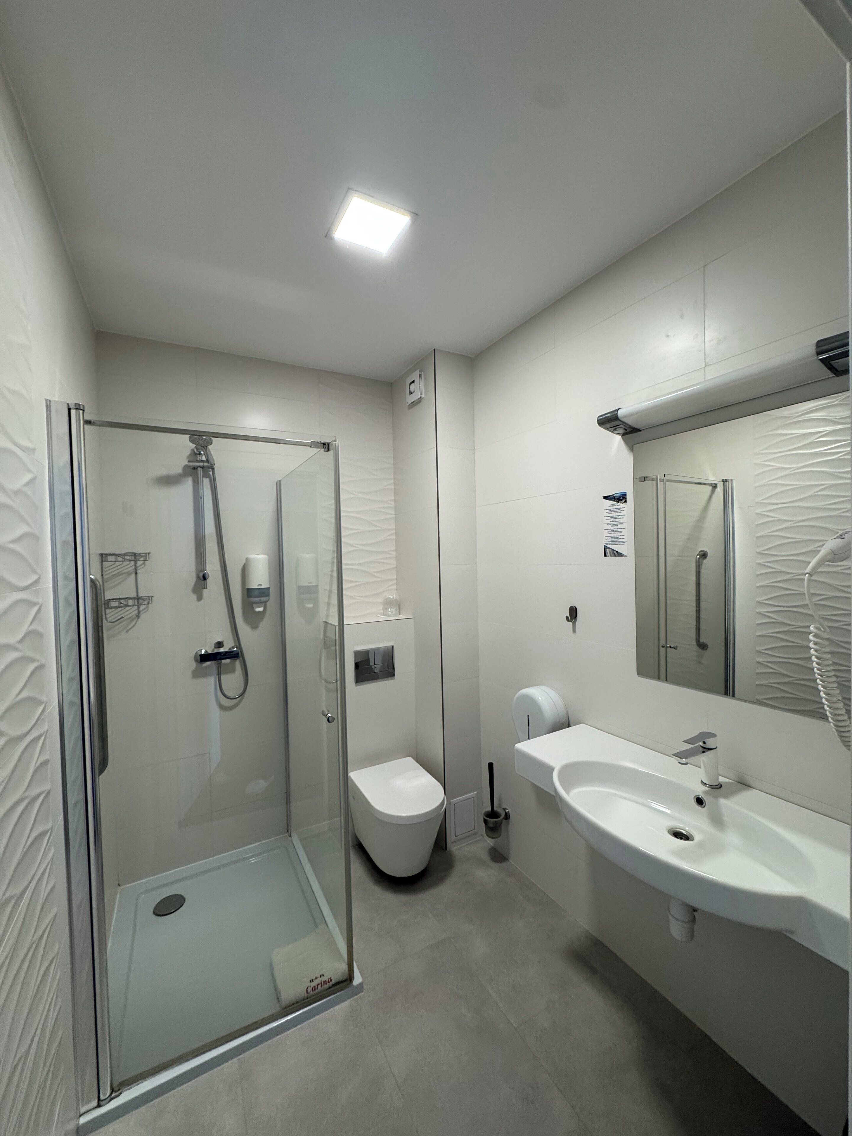 A modern bathroom with a glass-enclosed shower, a toilet, and a sink with a mirror above it.