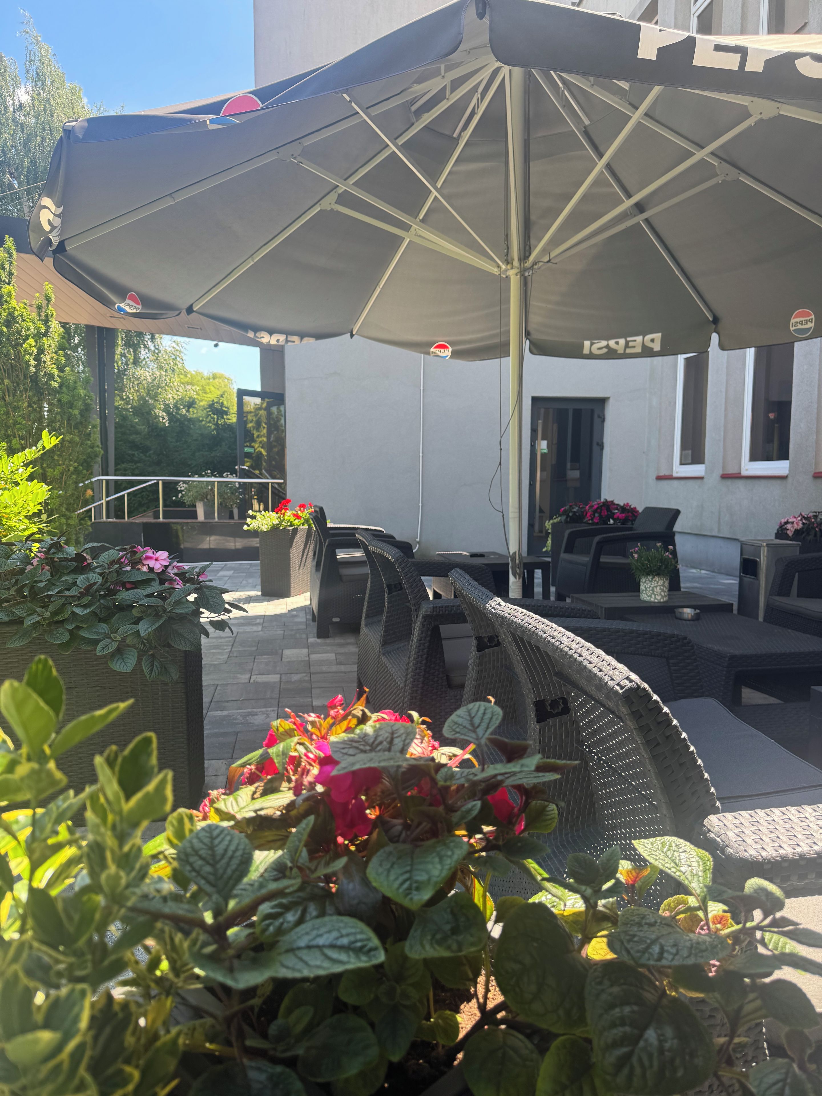 Terraza o patio