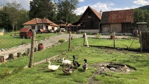 Un entorno rural con una casa de campo, una zona vallada y un estanque.