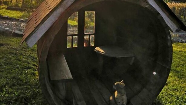 Una estructura de madera rústica que parece una casa, con techo inclinado, una ventana y un gato sentado adentro.