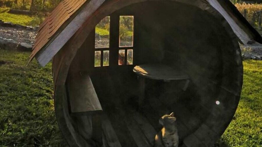 Apartment Sarganska Osmica 8