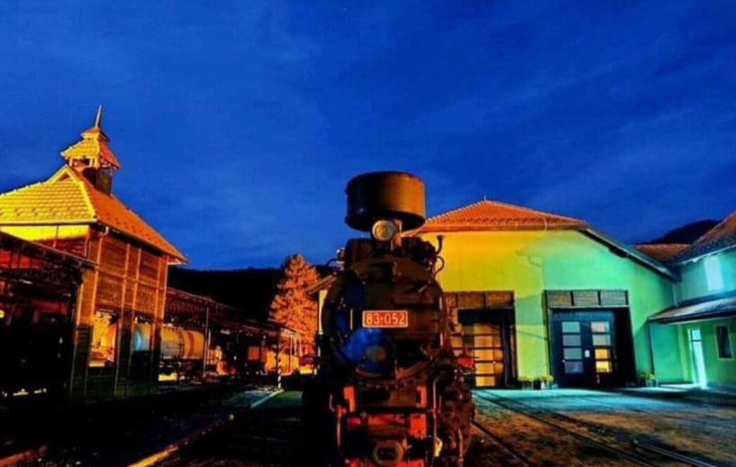 A train with a visible license plate, a building with a green roof, and a structure with a red roof in the background.