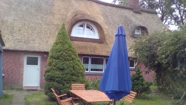 A patio with a wooden table and chairs, a blue umbrella, and a thatched-roof house with a brick wall and a window.
