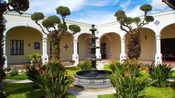 Garden view