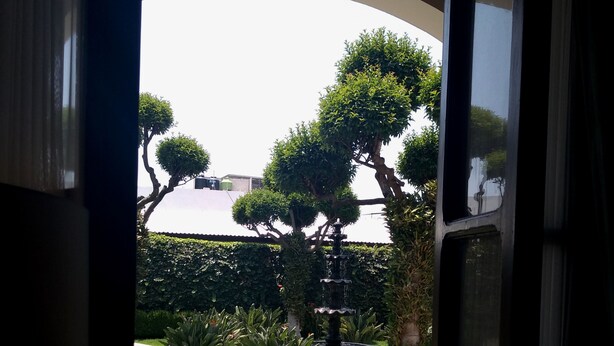 Een open deur die uitkomt op een verzorgde tuin met een fontein, verschillende struiken en een strak bijgesnoeid haag.