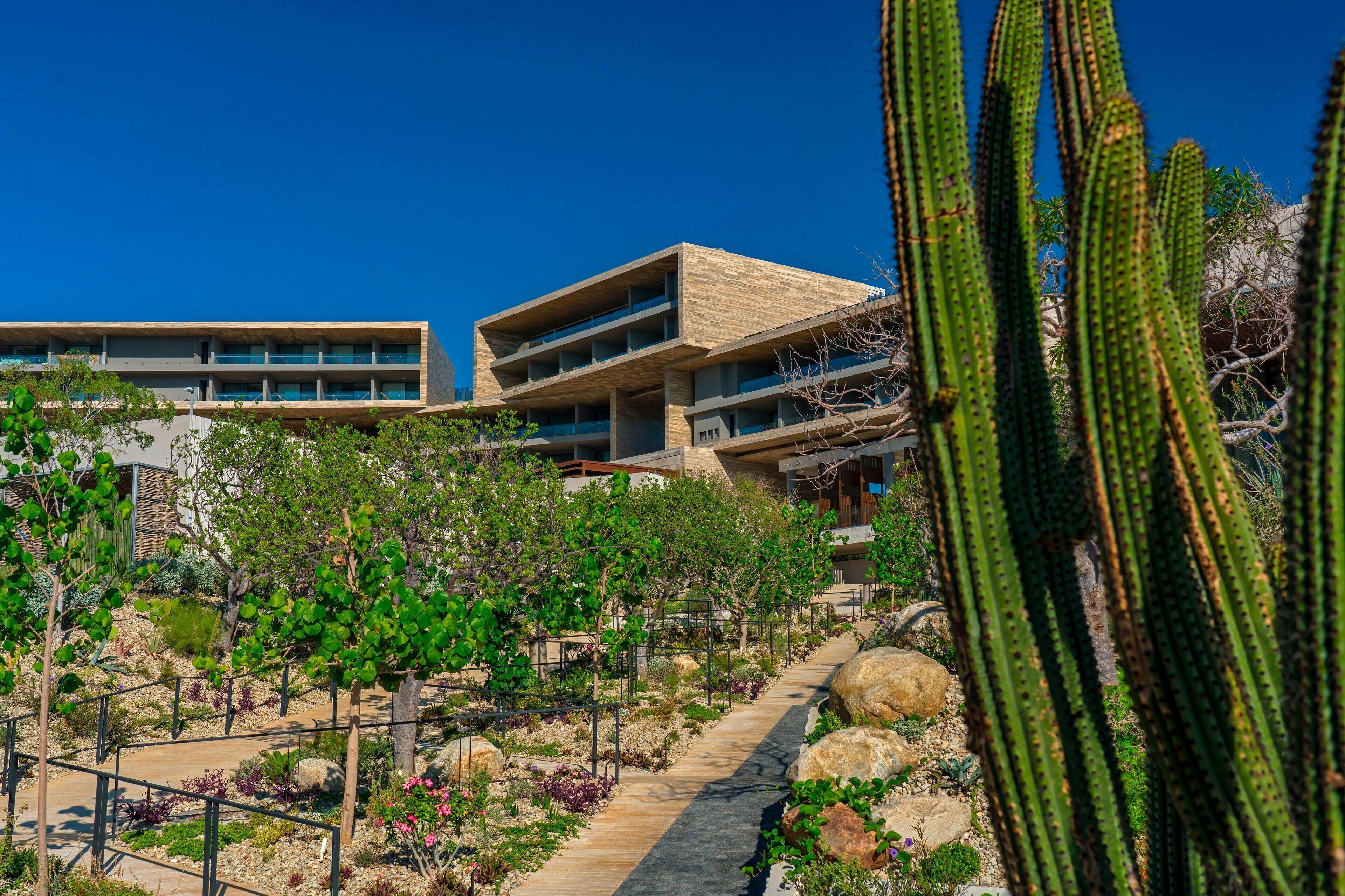 Un edificio moderno de varios pisos, rodeado por un jardín ajardinado con cactus y diversas plantas.