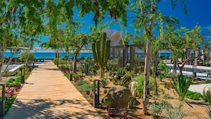 A wooden pathway leading to a pool area with a view of the sea, surrounded by various plants and cacti. - The Residences at Solaz, a Luxury Collection Resort, Los Cabos a Marriott Hotel (San José del Cabo)