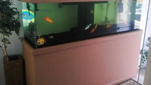 A fish tank with a wooden base and a glass top, located in a room with a patterned rug and a potted plant. - Capivari Centro Hotel (Capivari)
