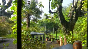 Visão pela janela de um deck de madeira com uma mesa e um vaso de planta.