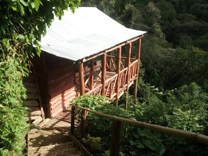 A rustic wooden cabin with a metal roof, surrounded by lush greenery. - RUHIJA COMMUNITY REST CAMP-BWINDI (Kabale)