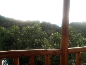 Vista da propriedade