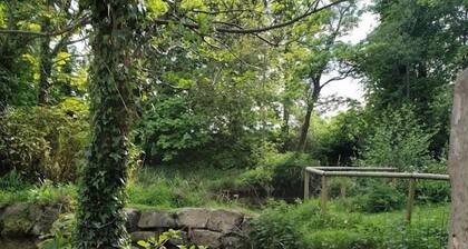 Dublin homestay