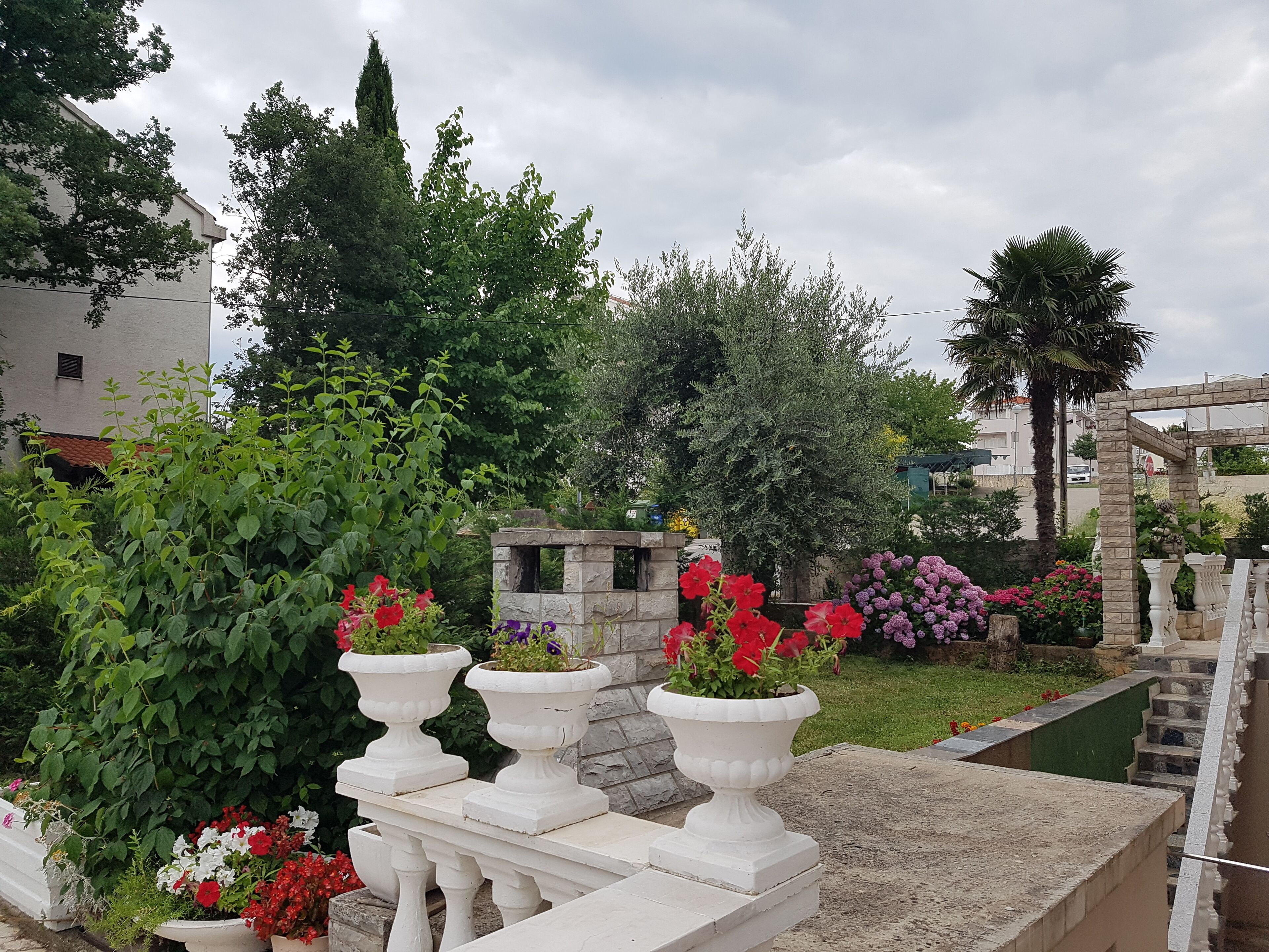 Un jardín con plantas en macetas y un banco de piedra.