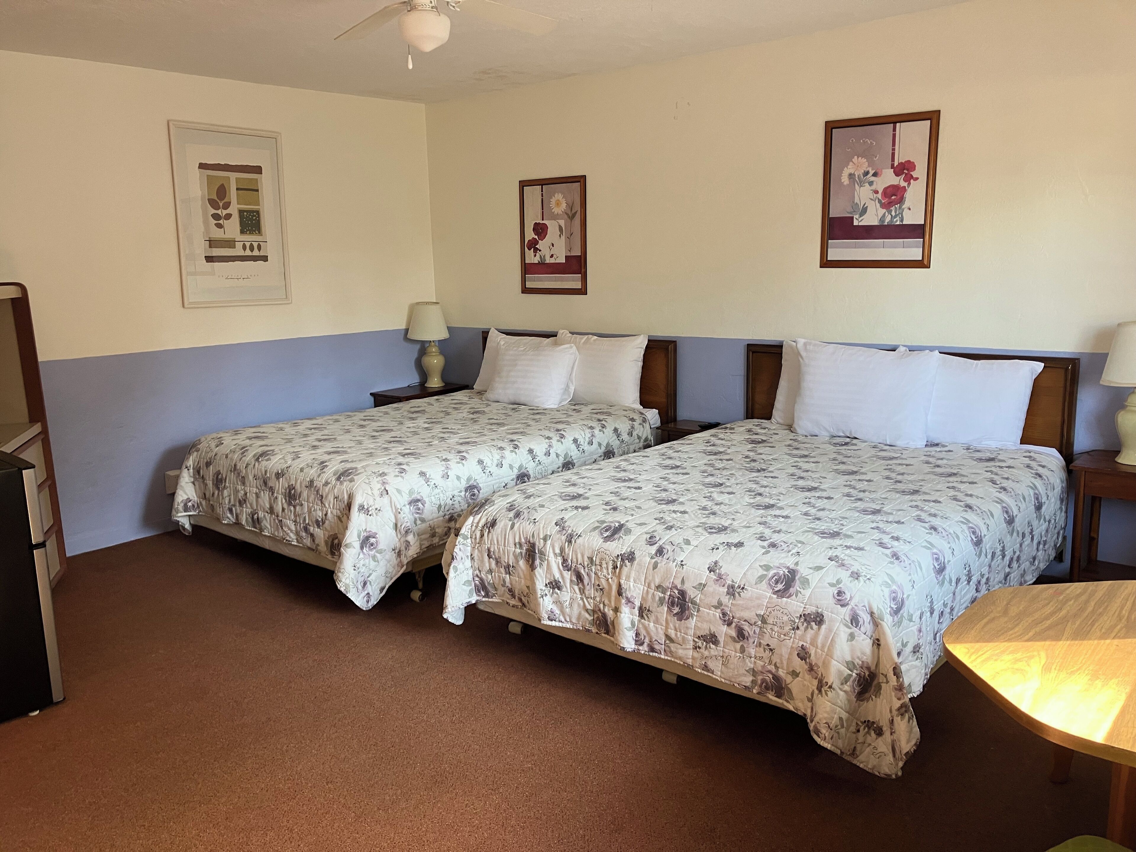 Wifi gratis y ropa de cama 