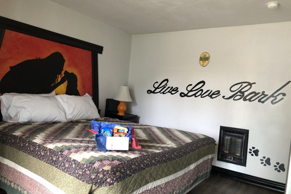 Design Single Room, 1 King Bed | Free WiFi, bed sheets